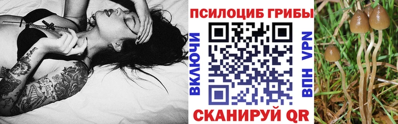 Псилоцибиновые грибы мицелий Аргун