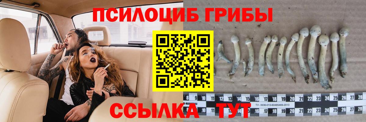 Галлюциногенные грибы мицелий Аргун